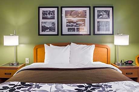 Queen Room - Accessible/Nonsmoking