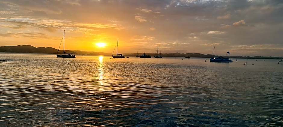 Hananui Lodge and Apartments