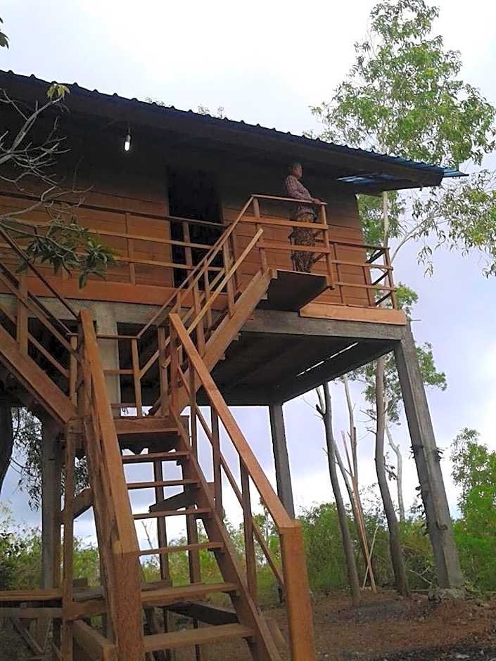Rumah Pohon