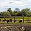 Spring Paddocks B&B