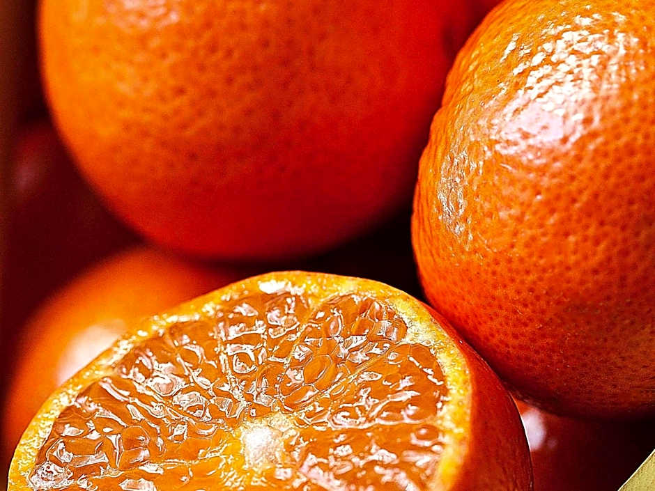 ibis Styles Tours Sud