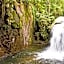 Atiaia Jungle River Retreat