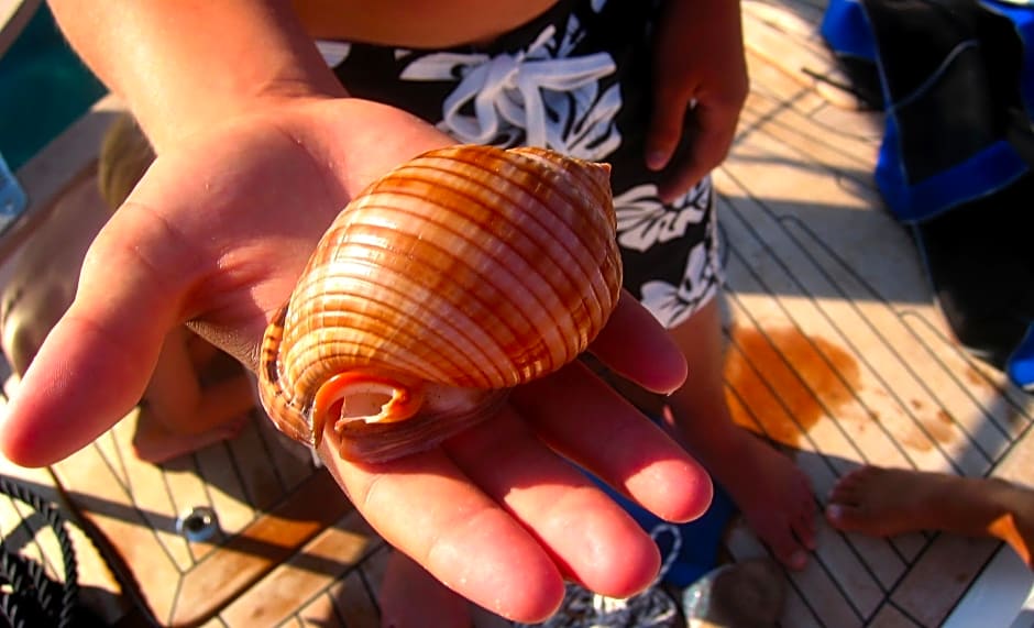 Apartments Vila Riva