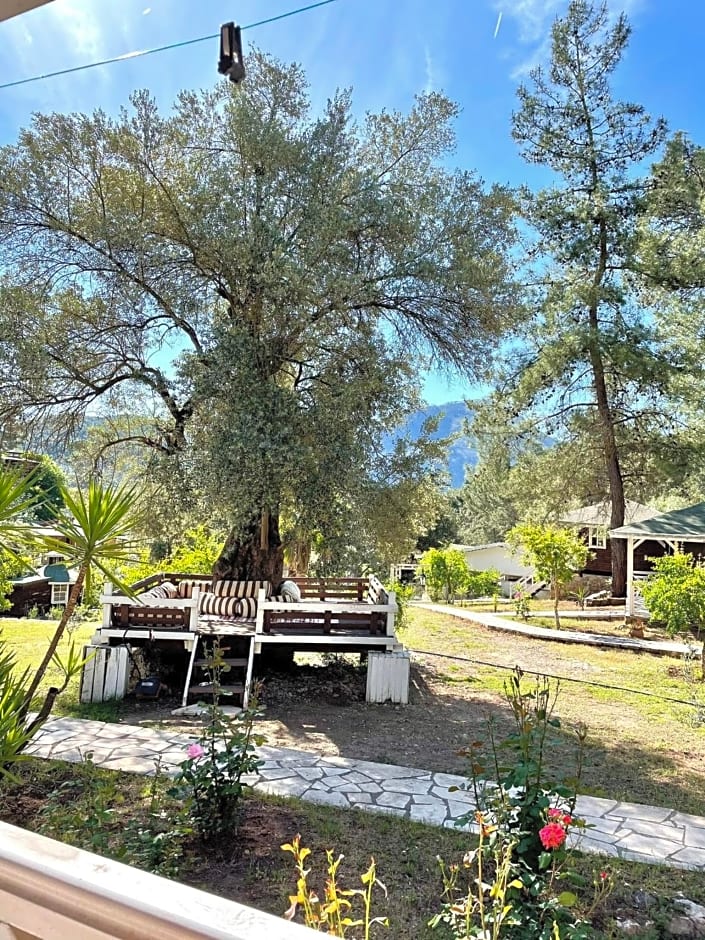 Olympos Angels Garden