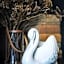The White Swan Hotel