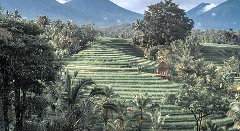 Saridevi Ecolodge