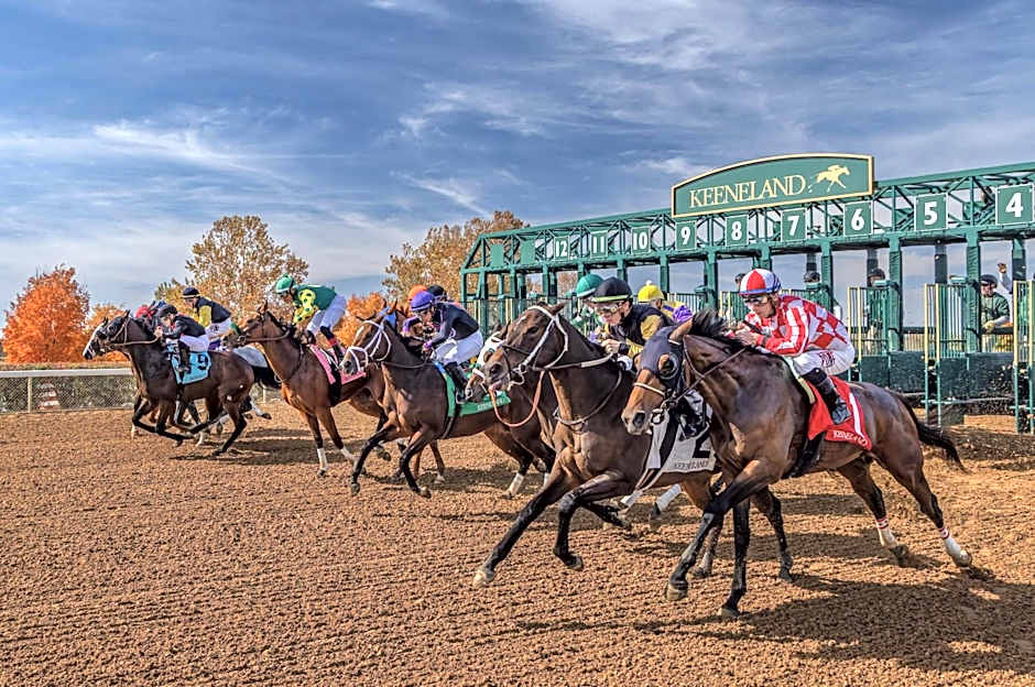 Staybridge Suites Lexington S Medical Ctr Area By IHG