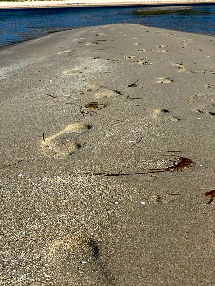 Beach Holiday Apartments