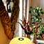 B&B Bellini
