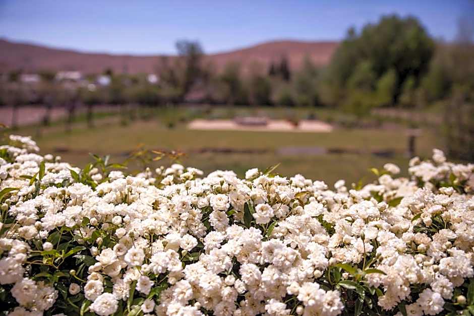 Paradijs in Nieu-Bethesda