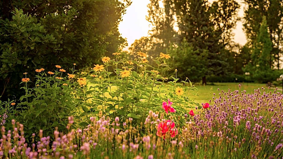 Seepark Hotel am Wandlitzsee