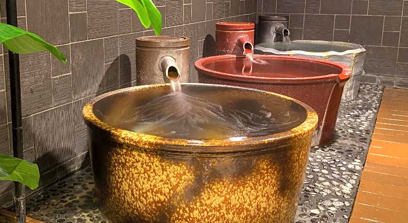 Himeji Castle Grandvrio Hotel