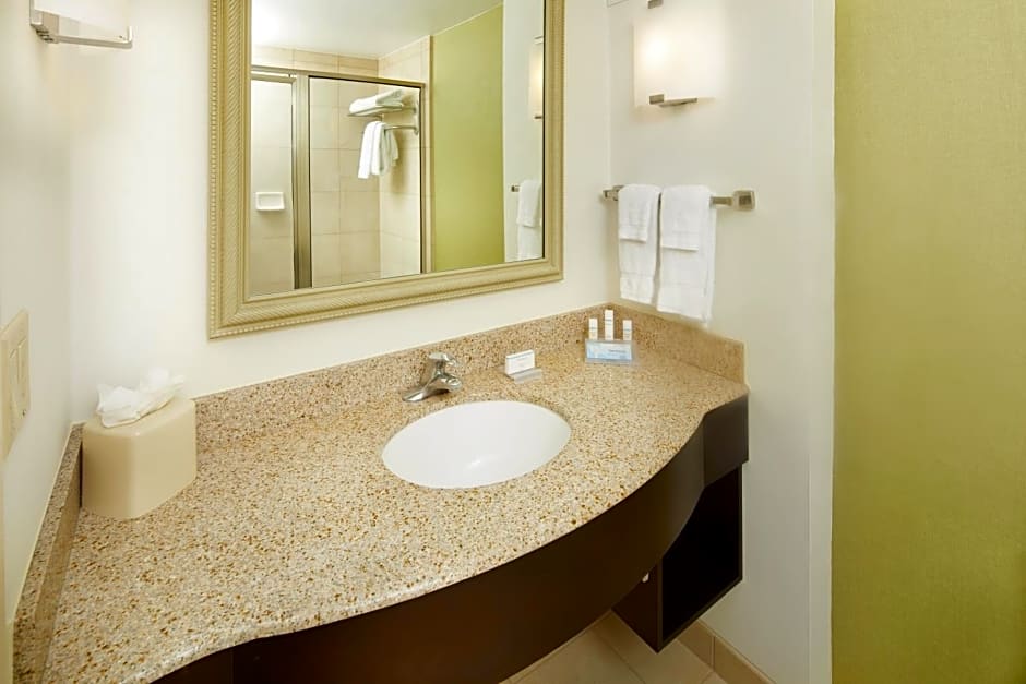 Hilton Garden Inn Savannah Midtown