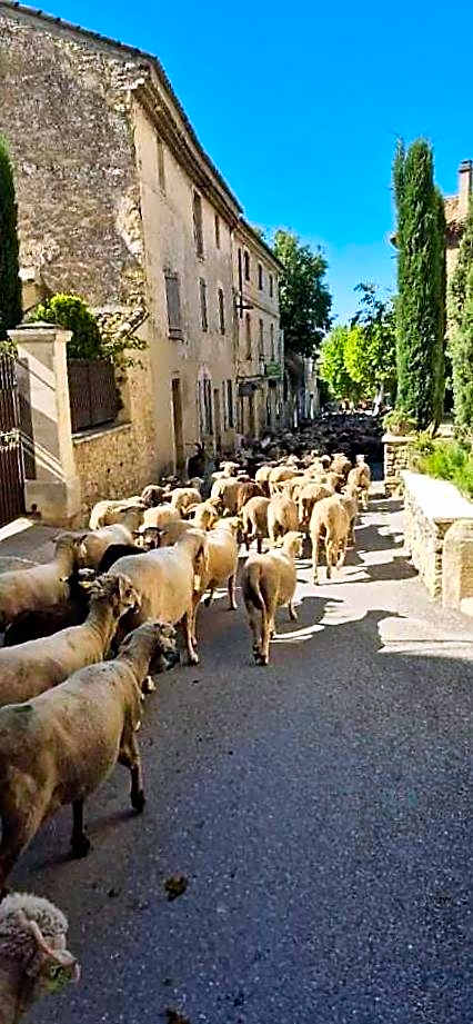 Chambres d'Hôtes Le relais des marmottes en Luberon
