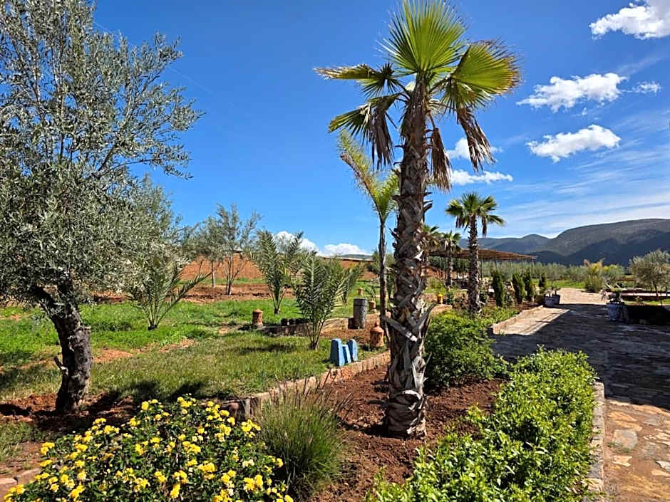 Kasbah Ntifa