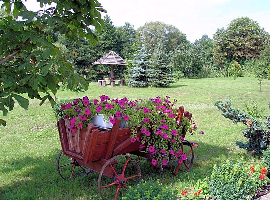 Pałac Wojciechy