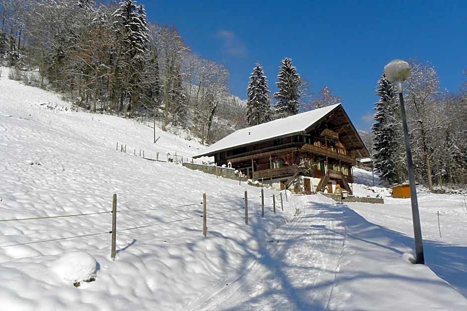 Spacious Swiss Alpine Chalet for Nature Lovers