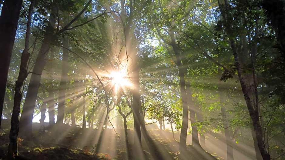 Albergue Olasenea Aterpea