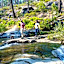 Tenaya Lodge at Yosemite