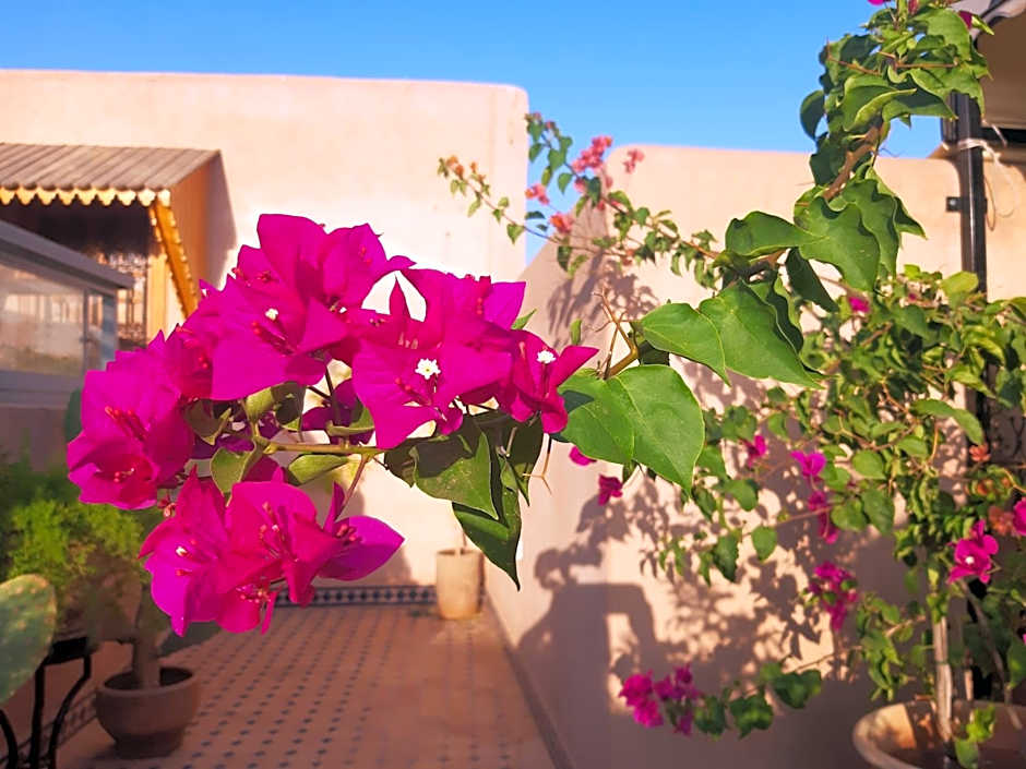 Riad Miral