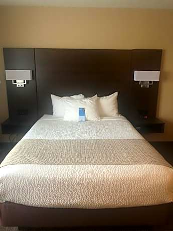 Queen Studio - Non-Smoking - Not Pet Friendly