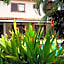 Ten North Tamarindo Beach Hotel