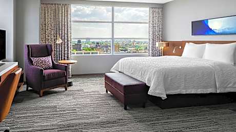 Hilton Garden Inn Chicago McCormick Place