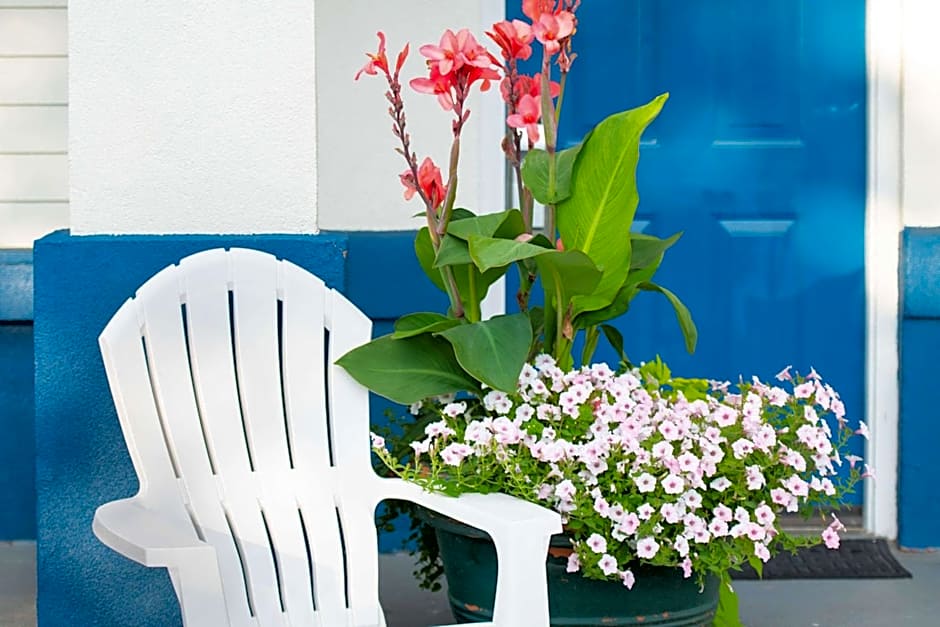 Rodeway Inn Middletown - Newport