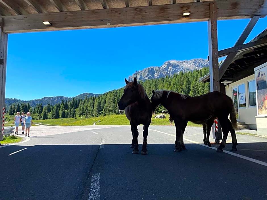 Hotel Berghof