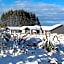 Tongariro Suites