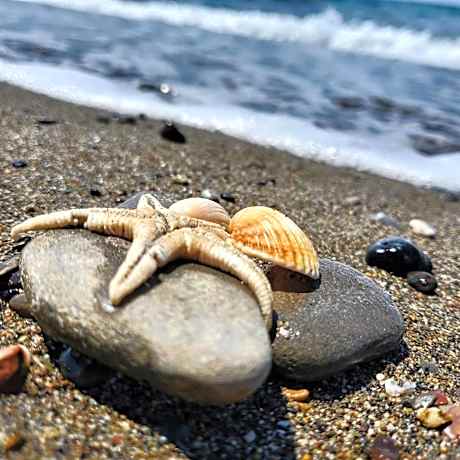 Residence Casa Di Caccia