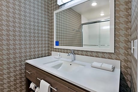 1 King Bed Studio Suite Nonsmoking