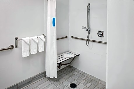 1 Queen Mobility/Hearing Access Tub Suite Ns