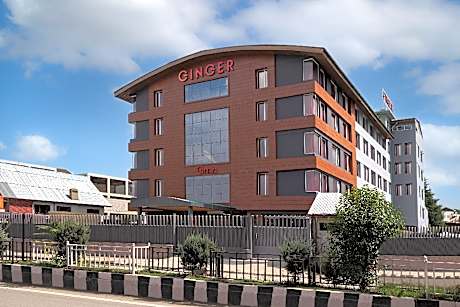 Ginger Srinagar, Barzulla