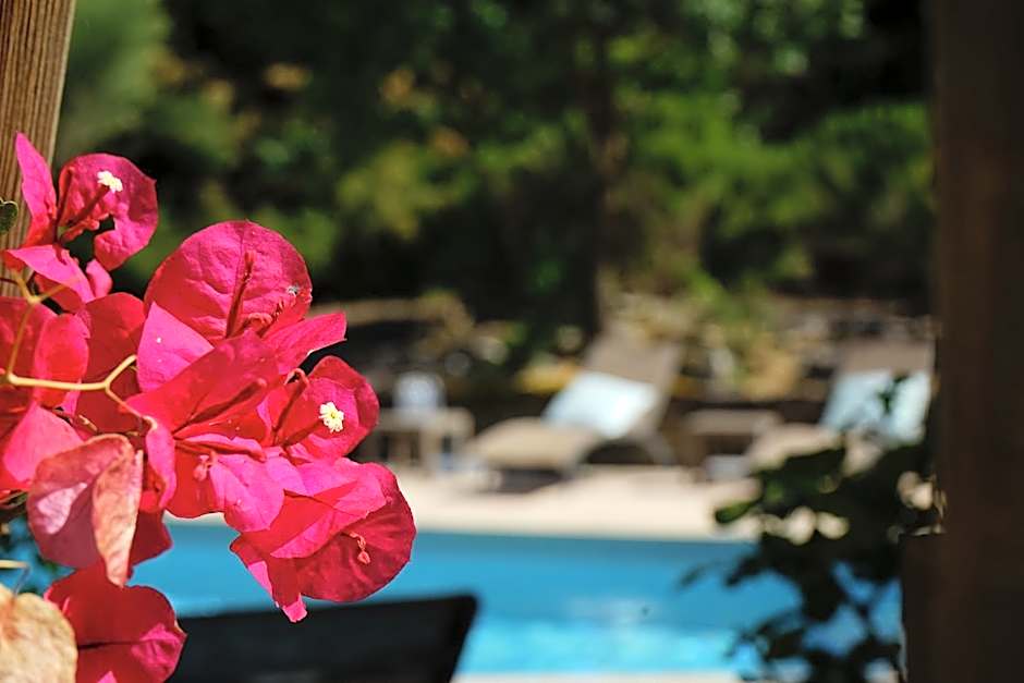 Logis Hotel Le Blason de Provence