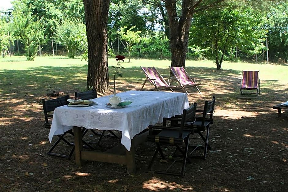 Campo alle Monache