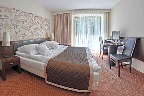 Double Room with Terrace