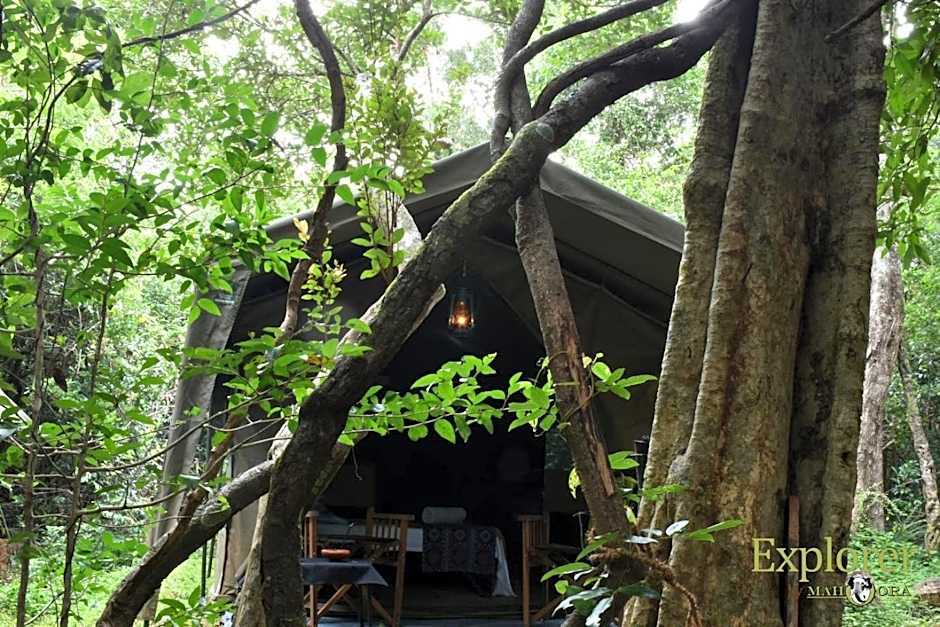 Explorer by Mahoora - Wasgamuwa