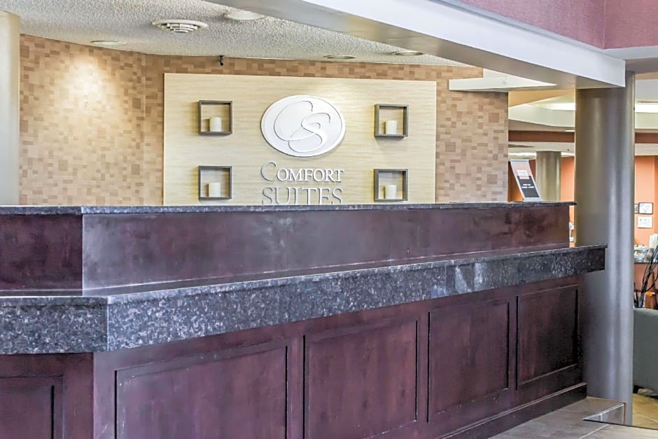 Comfort Suites Raleigh Durham Airport/RTP