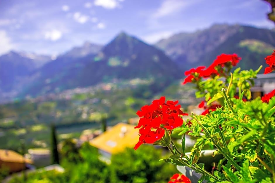 Schenna Garni Eden Bed & Breakfast