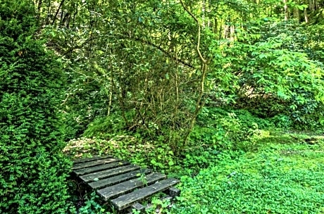 Silvermine Hideaway Cabin