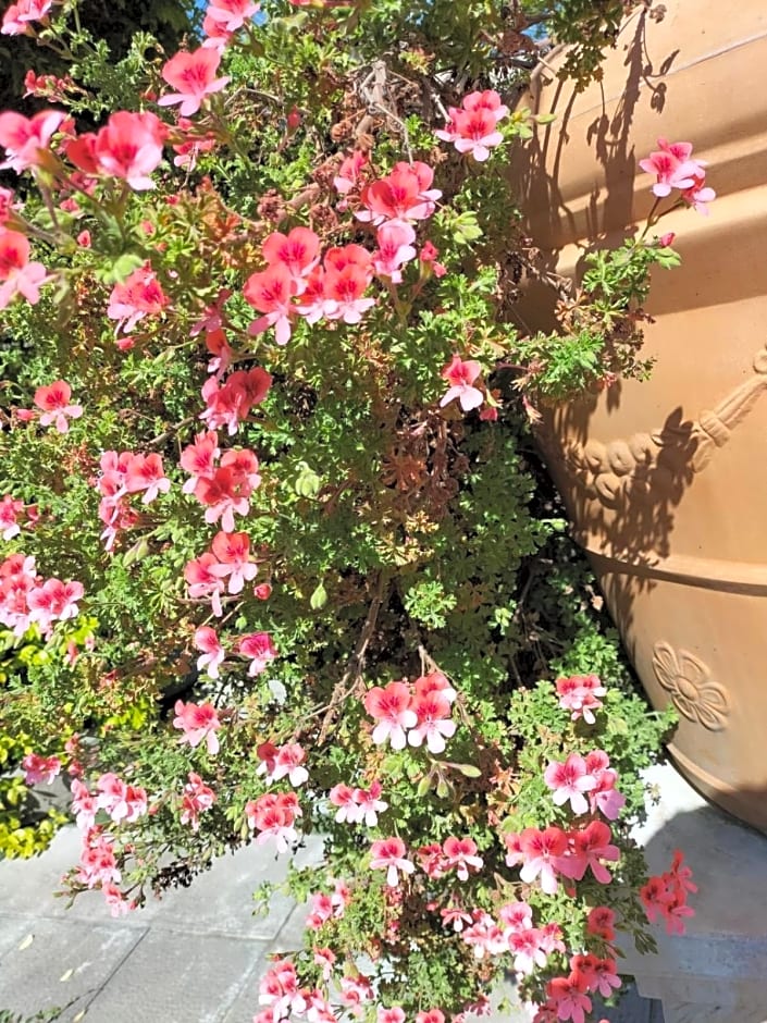 Tettoeletto Garden Bio