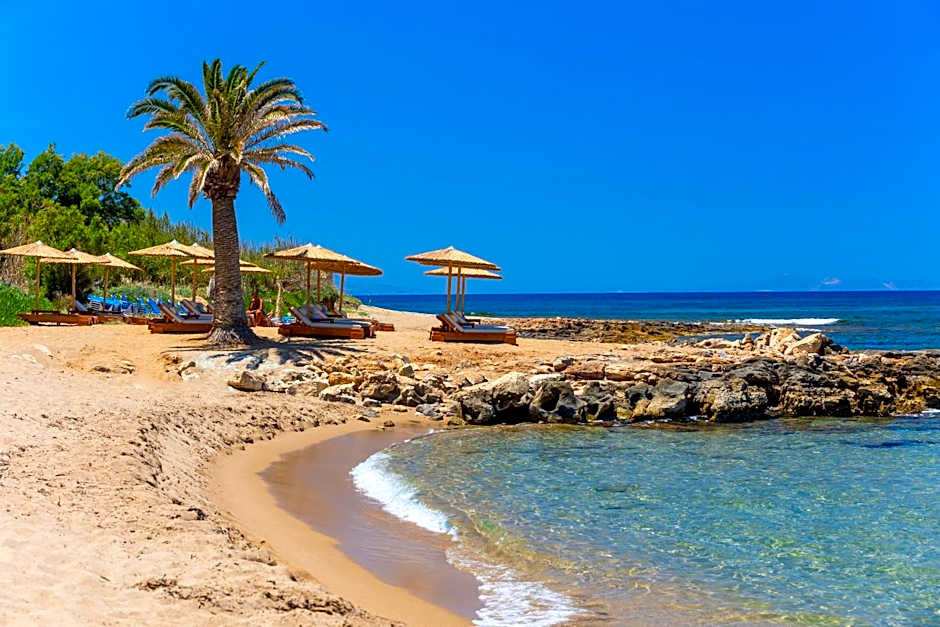 Azul Eco Hotel