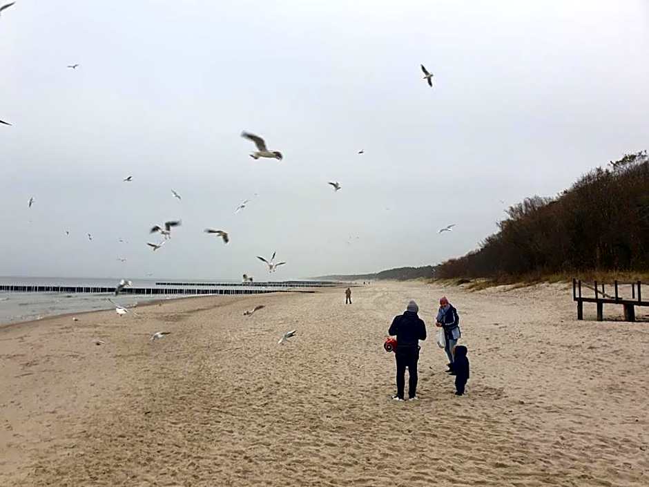 Ostseeresidenz Niechorze großes App mit Schwimmbad