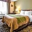 Comfort Inn Weirton