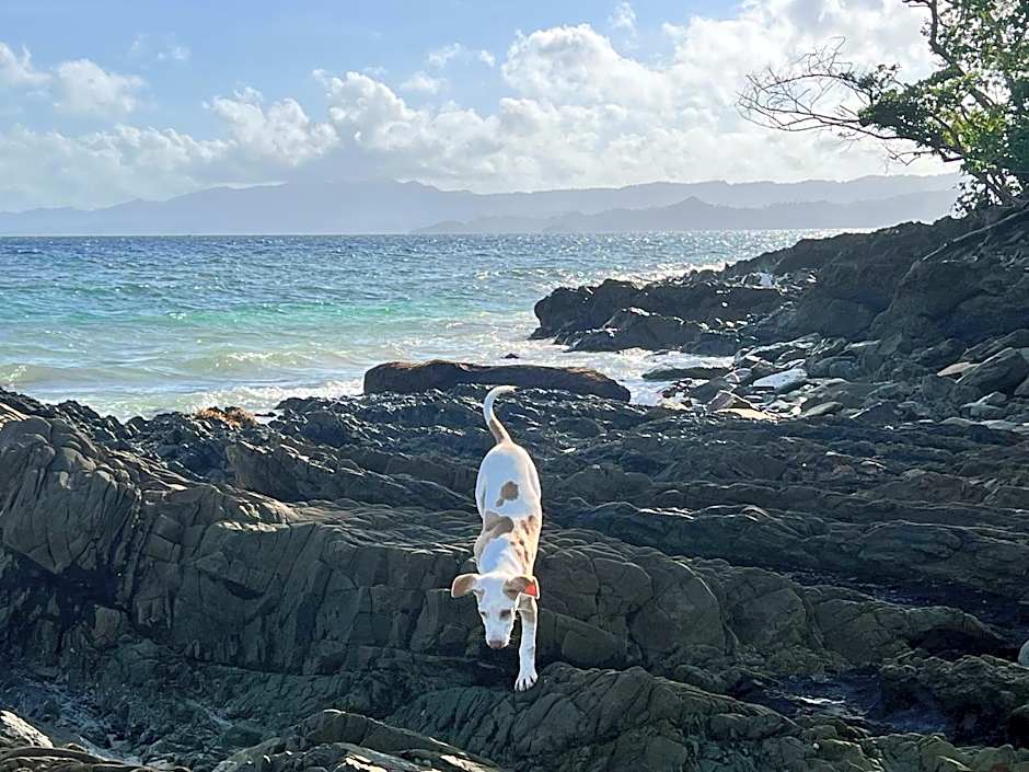 NoBi's Inn, Port Barton