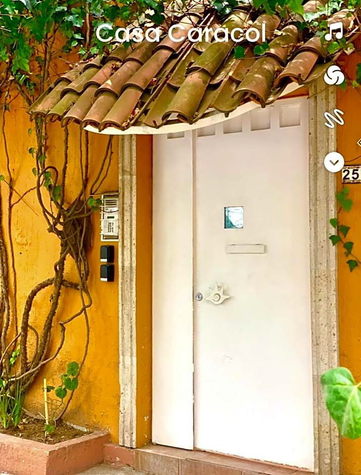 Satya Suites & Portal San Angel Flats