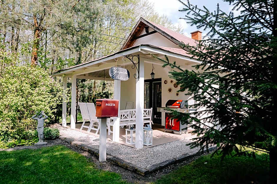 Dwór Złotopolska Dolina Mansion House