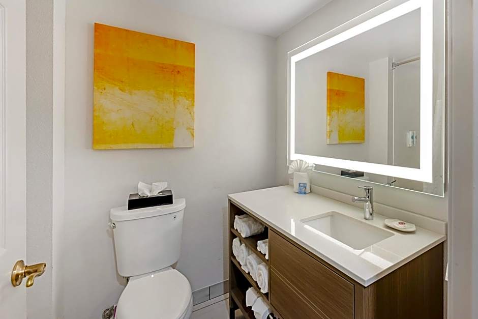 Comfort Inn & Suites Arlington Heights - Schaumburg