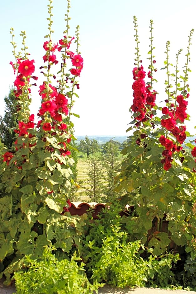 Le Clos des Malézolles